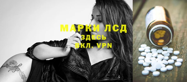 PSILOCYBIN Алзамай