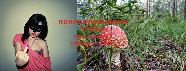 mdpv Алексеевка