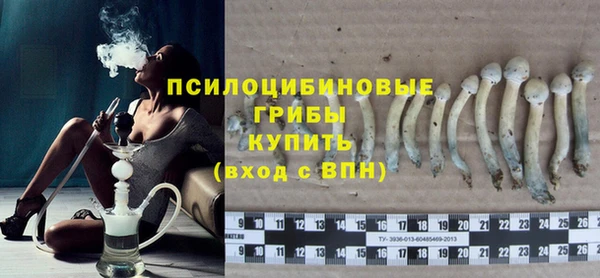 СК Абаза