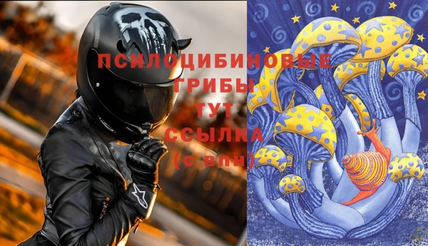 PSILOCYBIN Алзамай